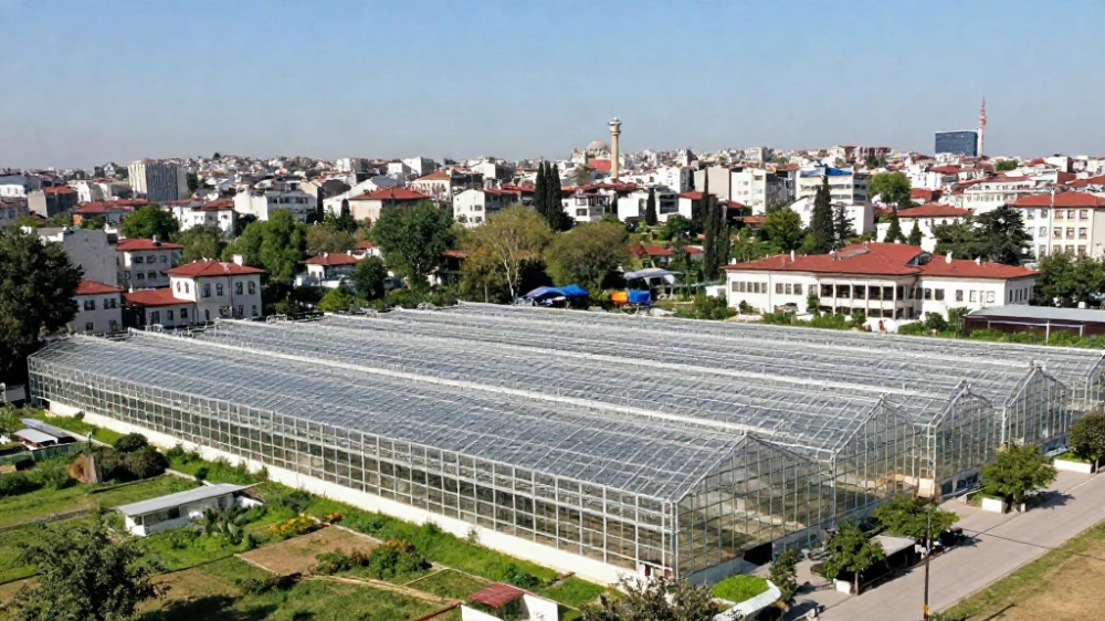 استثمار زراعي في تركيا اسطنبول
